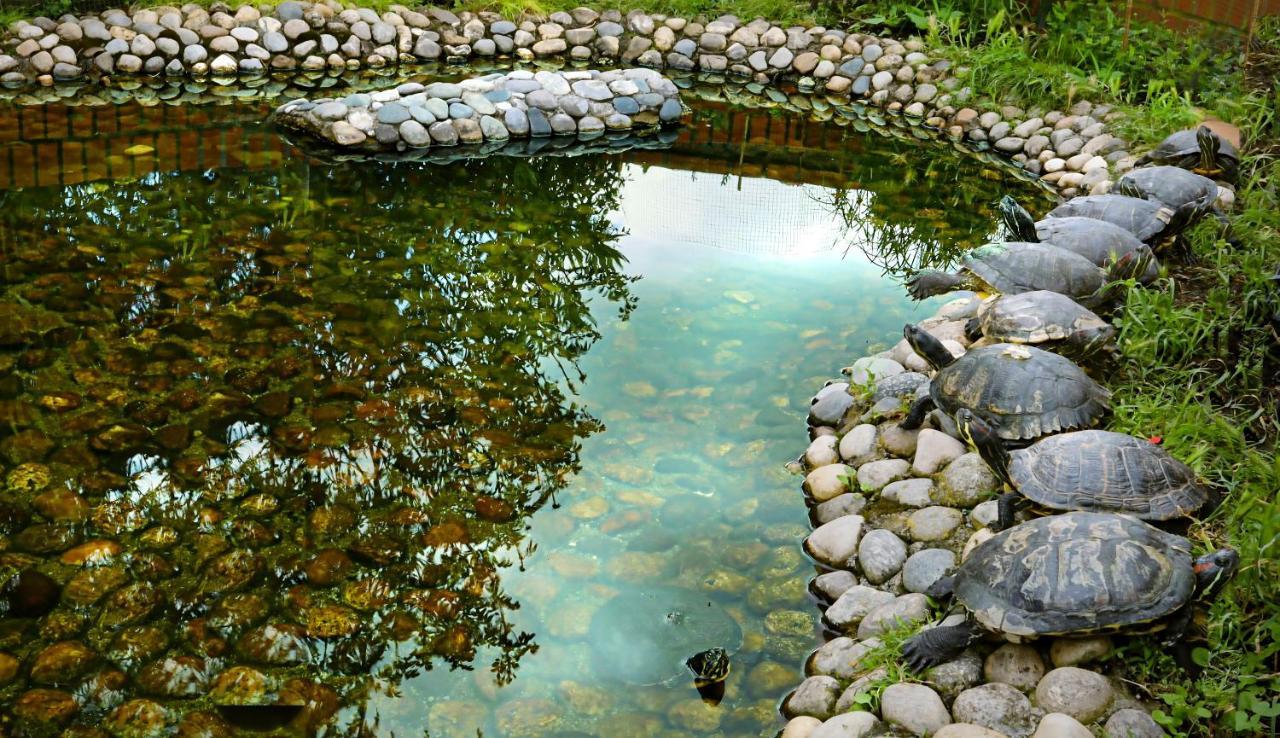 Totohouse Da Marco Piscina Riscaldata Rialto Ngoại thất bức ảnh